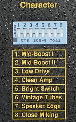 TECH21 SansAmp ClassicのCharacterスイッチ