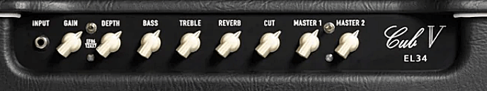 Bad Cat Cub V EL34のコントロール