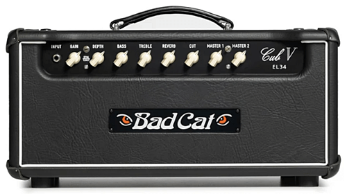 Bad Cat Cub V EL34ヘッド