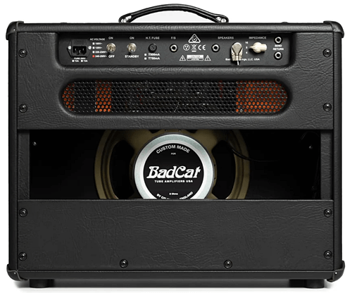 Bad Cat Cub V のバックパネル