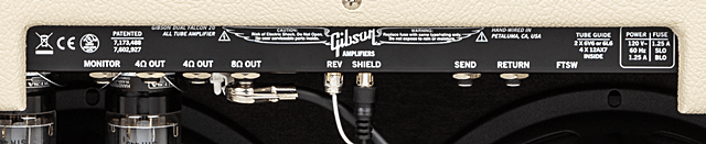 Gibson Dual Falcon 20 2×10 Comboのバックパネル