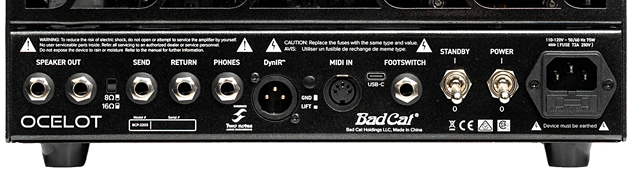 Bad Cat OCELOTのバックパネル